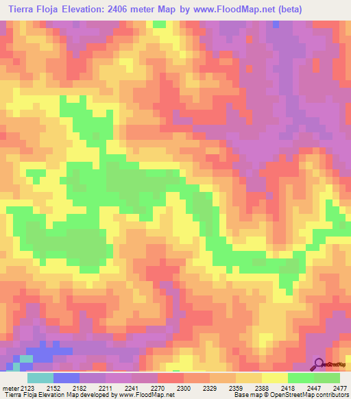 Tierra Floja,Mexico Elevation Map