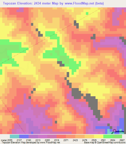 Tepozan,Mexico Elevation Map