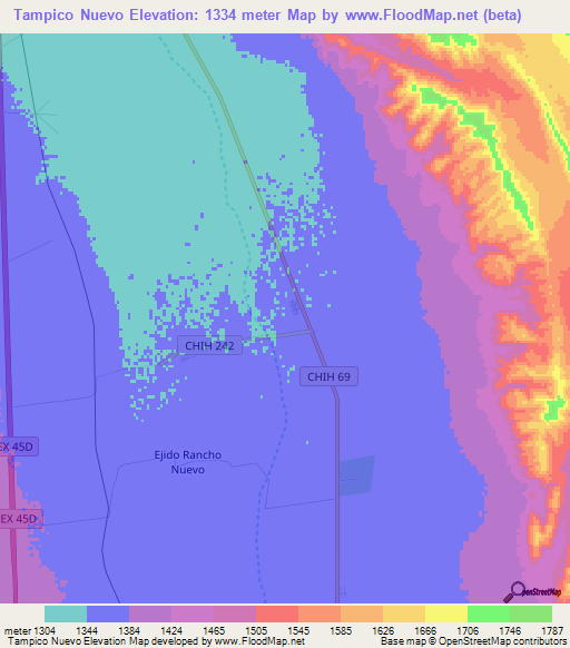 Tampico Nuevo,Mexico Elevation Map