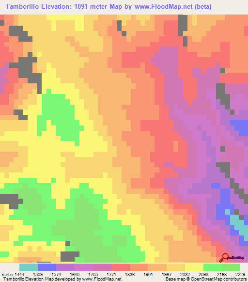 Tamborillo,Mexico Elevation Map