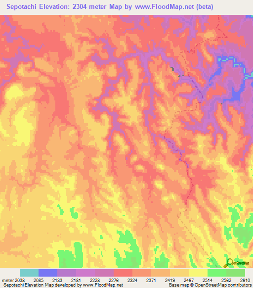 Sepotachi,Mexico Elevation Map