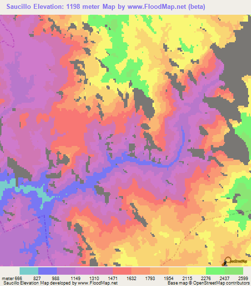 Saucillo,Mexico Elevation Map