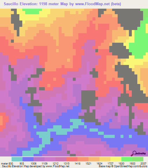 Saucillo,Mexico Elevation Map