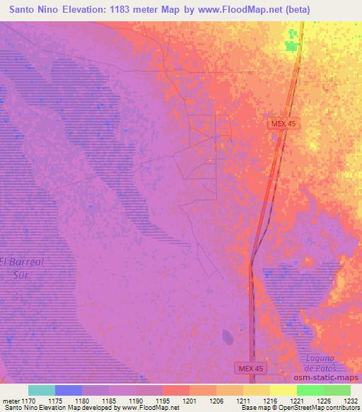 Santo Nino,Mexico Elevation Map