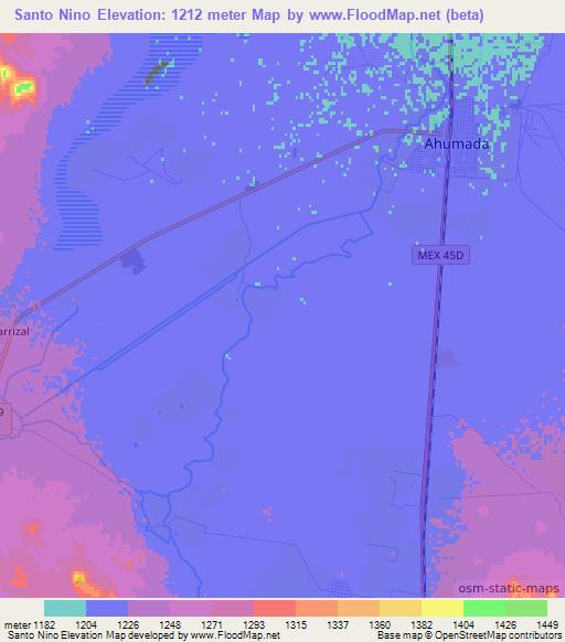 Santo Nino,Mexico Elevation Map