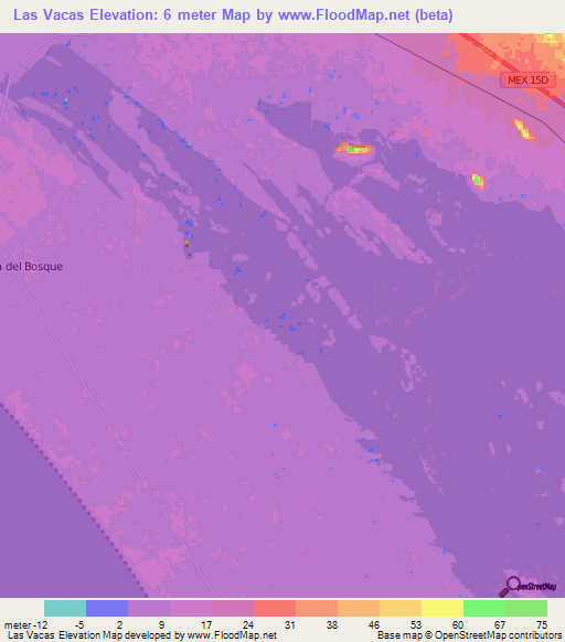 Las Vacas,Mexico Elevation Map