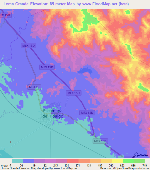 Loma Grande,Mexico Elevation Map