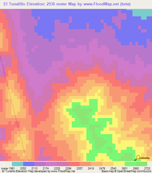 El Tunalillo,Mexico Elevation Map