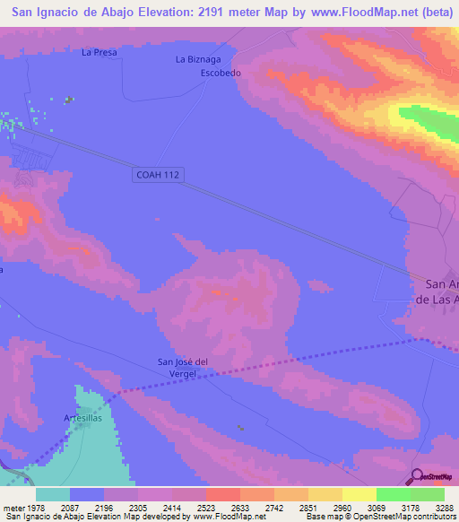 San Ignacio de Abajo,Mexico Elevation Map