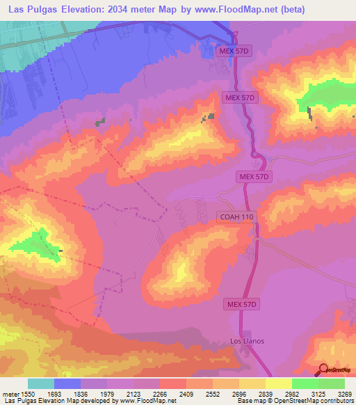 Las Pulgas,Mexico Elevation Map