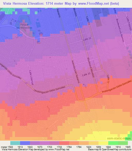 Vista Hermosa,Mexico Elevation Map