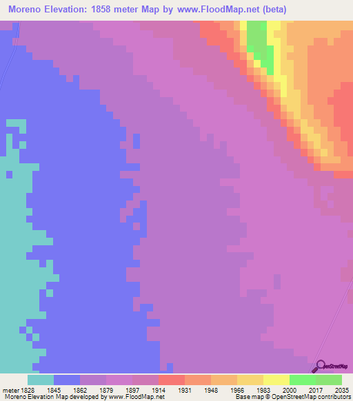 Moreno,Mexico Elevation Map