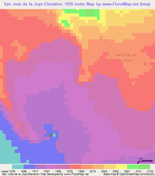 San Jose de la Joya,Mexico Elevation Map