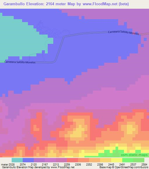 Garambullo,Mexico Elevation Map