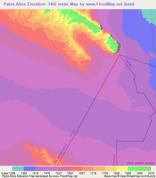 Palos Altos,Mexico Elevation Map