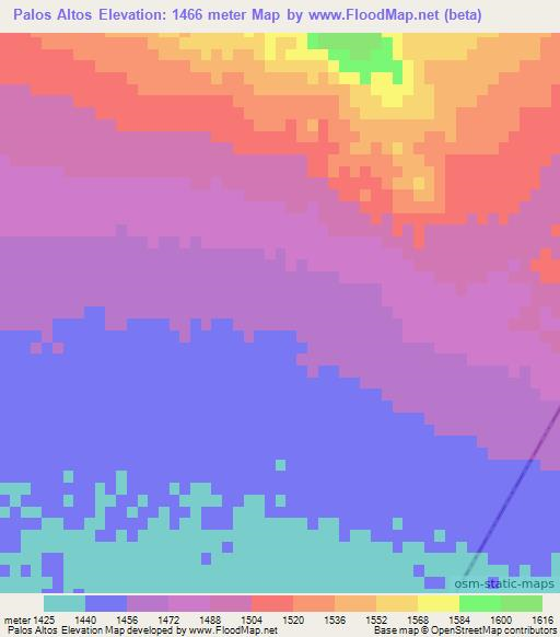 Palos Altos,Mexico Elevation Map