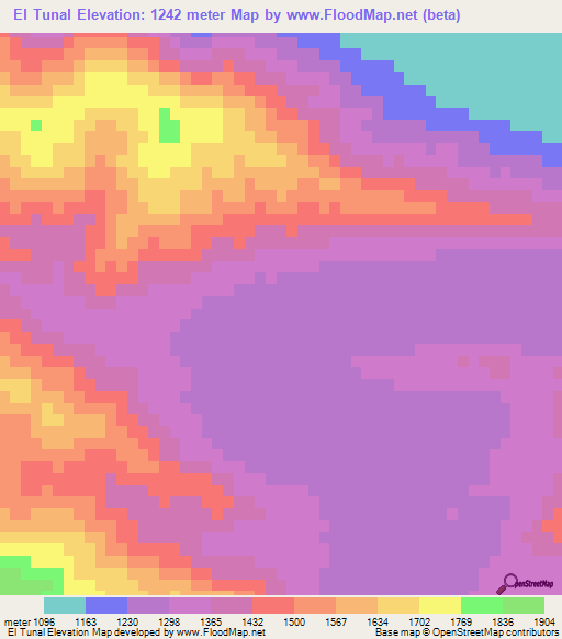 El Tunal,Mexico Elevation Map