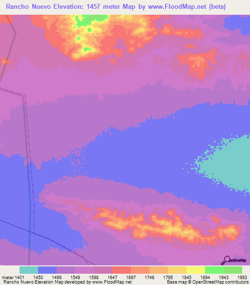 Rancho Nuevo,Mexico Elevation Map