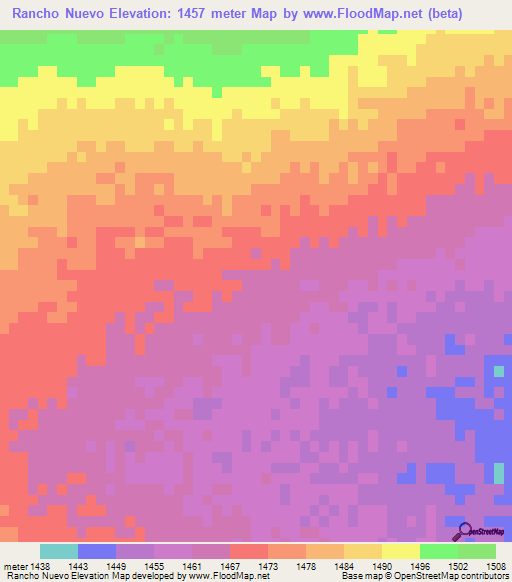 Rancho Nuevo,Mexico Elevation Map