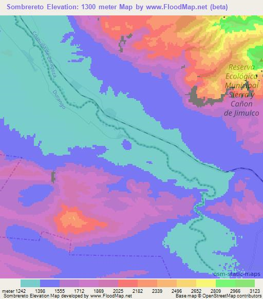 Sombrereto,Mexico Elevation Map