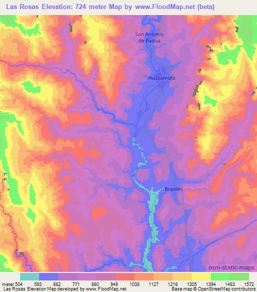 Las Rosas,Mexico Elevation Map