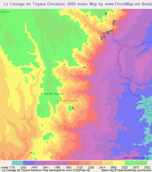 La Cienaga de Toyana,Mexico Elevation Map