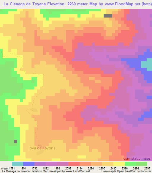 La Cienaga de Toyana,Mexico Elevation Map