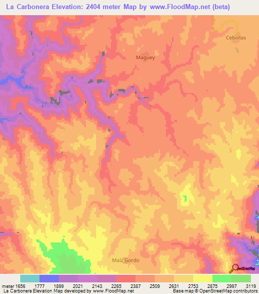 La Carbonera,Mexico Elevation Map