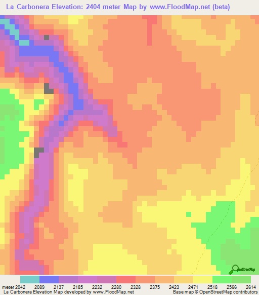 La Carbonera,Mexico Elevation Map