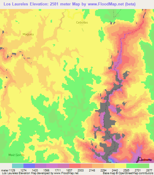 Los Laureles,Mexico Elevation Map