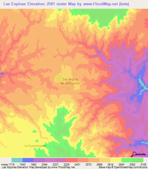 Las Espinas,Mexico Elevation Map