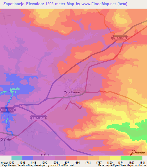 Zapotlanejo,Mexico Elevation Map