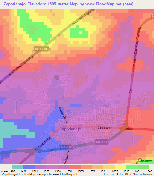 Zapotlanejo,Mexico Elevation Map