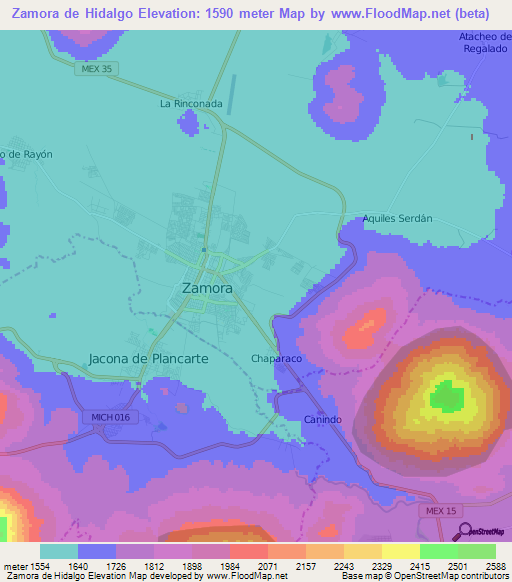 Zamora de Hidalgo,Mexico Elevation Map