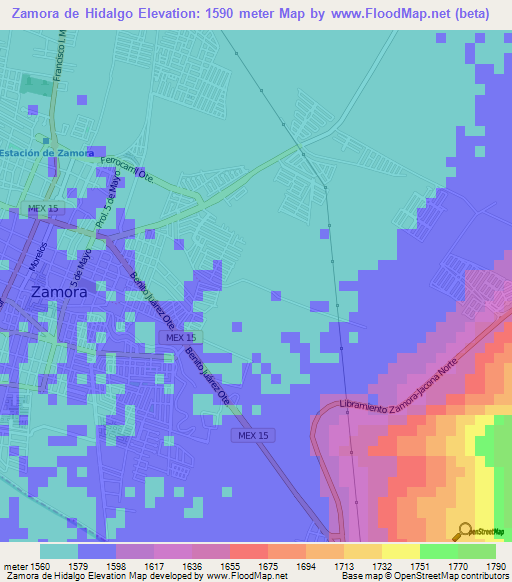 Zamora de Hidalgo,Mexico Elevation Map