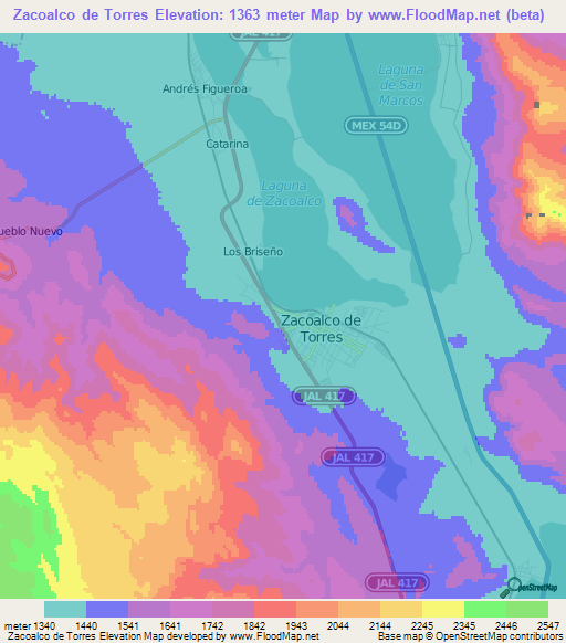 Zacoalco de Torres,Mexico Elevation Map