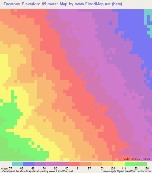 Zacatoso,Mexico Elevation Map