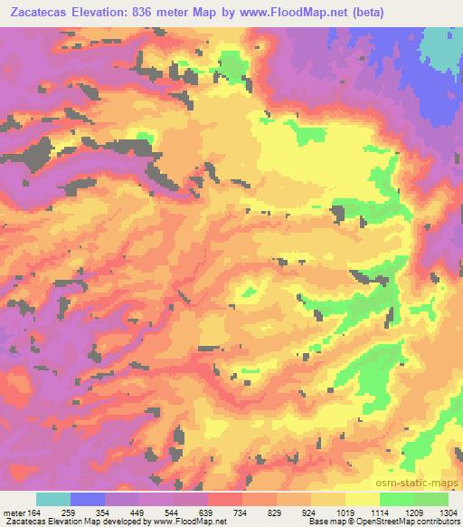 Zacatecas,Mexico Elevation Map