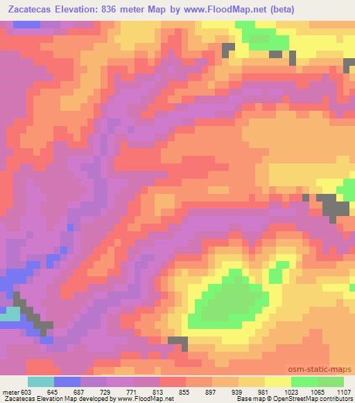 Zacatecas,Mexico Elevation Map