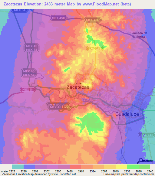 Zacatecas,Mexico Elevation Map