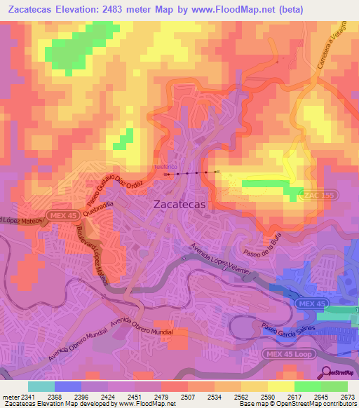 Zacatecas,Mexico Elevation Map