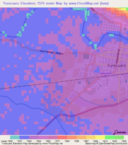 Yurecuaro,Mexico Elevation Map