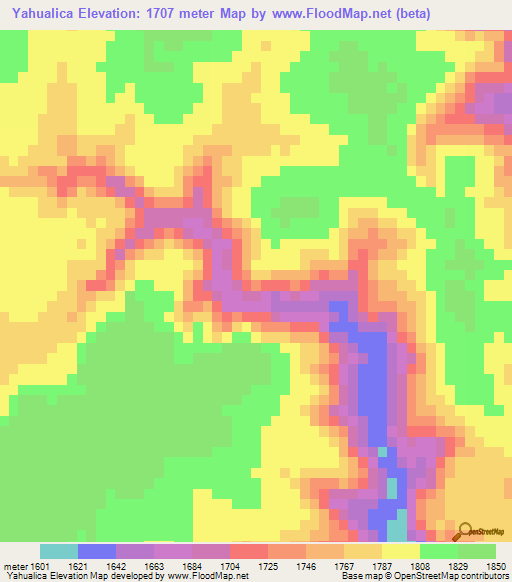 Yahualica,Mexico Elevation Map