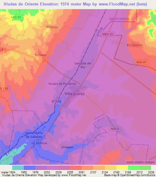 Viudas de Oriente,Mexico Elevation Map