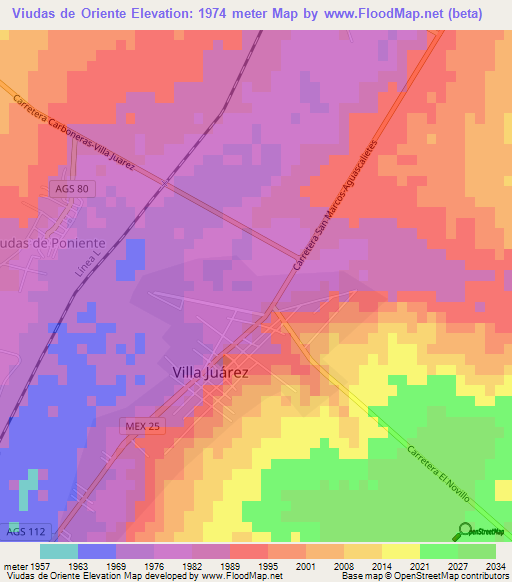 Viudas de Oriente,Mexico Elevation Map