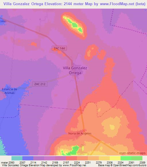 Villa Gonzalez Ortega,Mexico Elevation Map