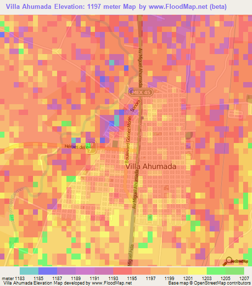 Villa Ahumada,Mexico Elevation Map