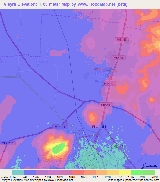 Vieyra,Mexico Elevation Map