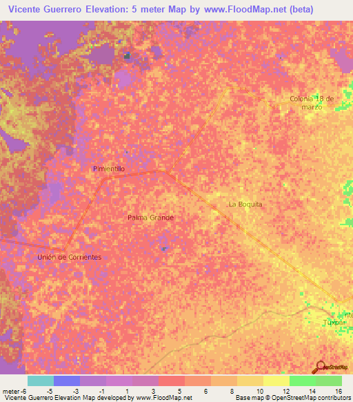 Vicente Guerrero,Mexico Elevation Map