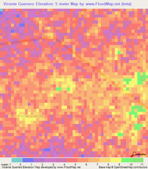 Vicente Guerrero,Mexico Elevation Map